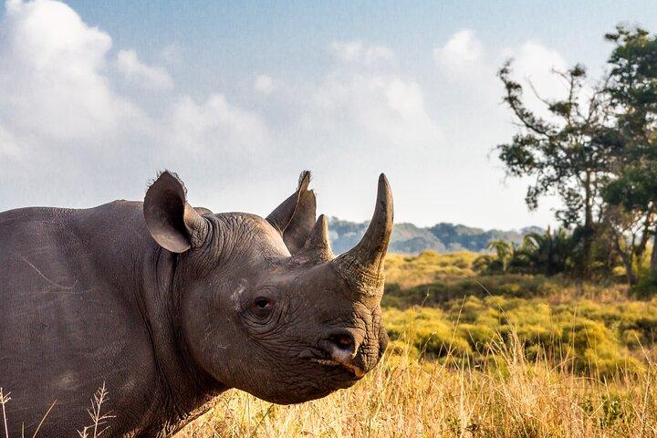 3 Day Safari Tour Package from Durban