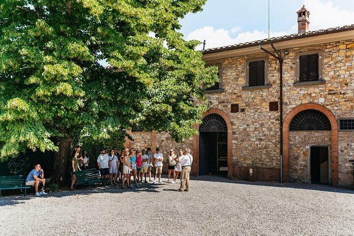 Small group Tuscan Wineries, Olive Oil & Gourmet Lunch or Dinner