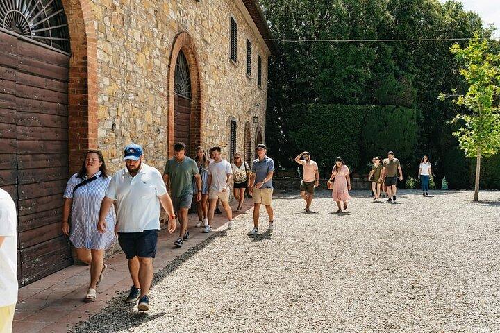 Small group Tuscan Wineries, Olive Oil & Gourmet Lunch or Dinner