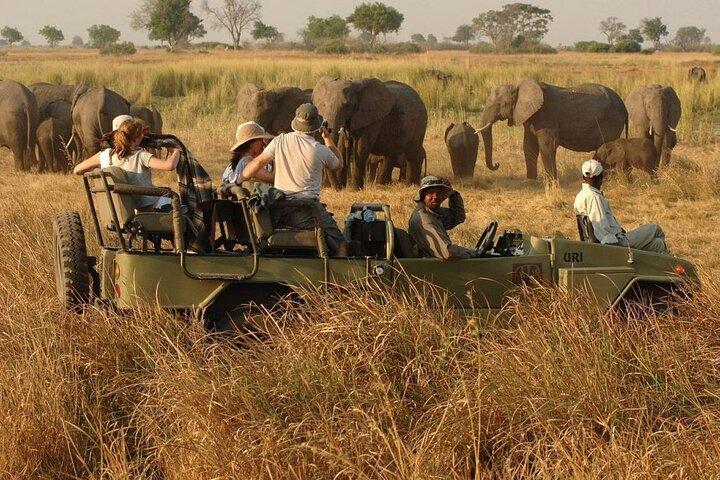 Half Day Hluhluwe Imfolozi Game Reserve from Richards Bay