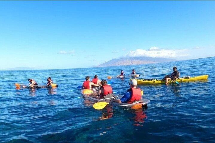 Maui Clear Kayak and Snorkel Tour: Swim with turtles (Makena)