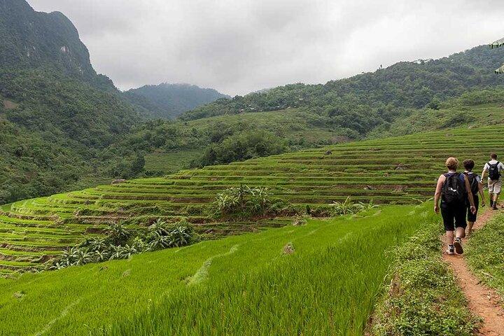 Exquisite 3-Day, 2-Night Journey Through Ninh Binh and Pu Luong