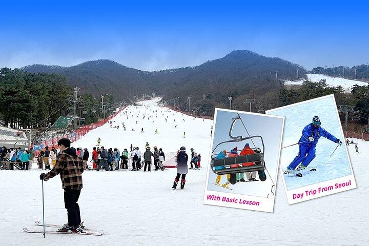 Jisan Ski One Day Tour