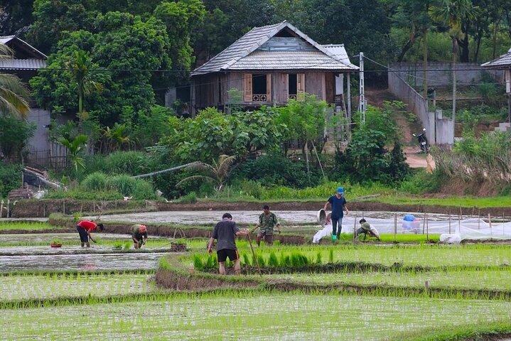 From Hanoi: Explore Mai Chau’s Rural Villages & Scenic Valleys