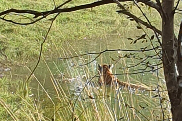 Jaipur Ranthambore Full Day Private Tour