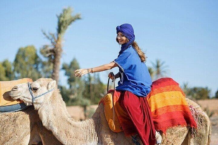 One Hour Camel Ride in Palmeraie Grove with Transfer - Marrakesh