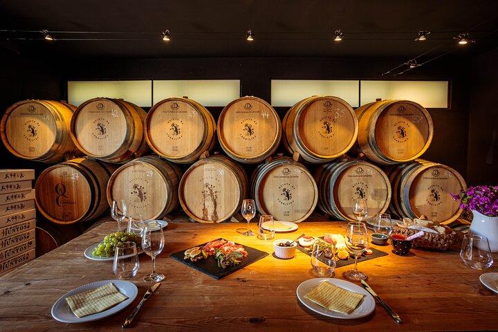 Complete wine journey through Portugal on a Lisbon vineyard