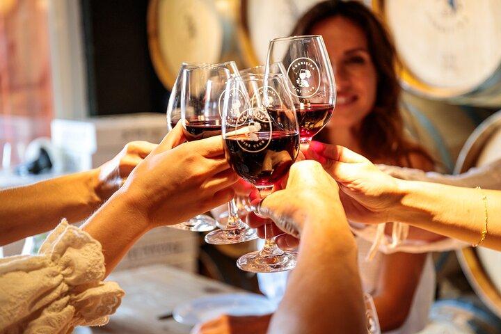 Complete wine journey through Portugal on a Lisbon vineyard