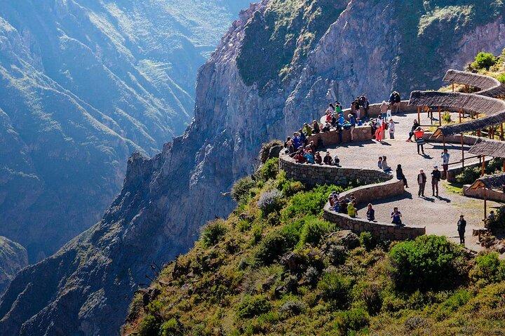2 Days and 1 Night Tour from Puno to Colca Canyon and Arequipa