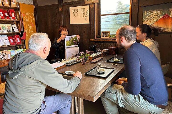 Shizuoka Green Tea Farm Tour by Car with Licensed Guide