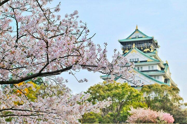 Osaka City Cherry Blossom Private Sightseeing Tour