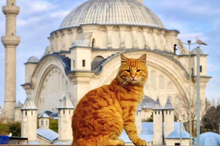 Private Cultural Tour of Istanbul: 1 or 2-Day Tailored Experience