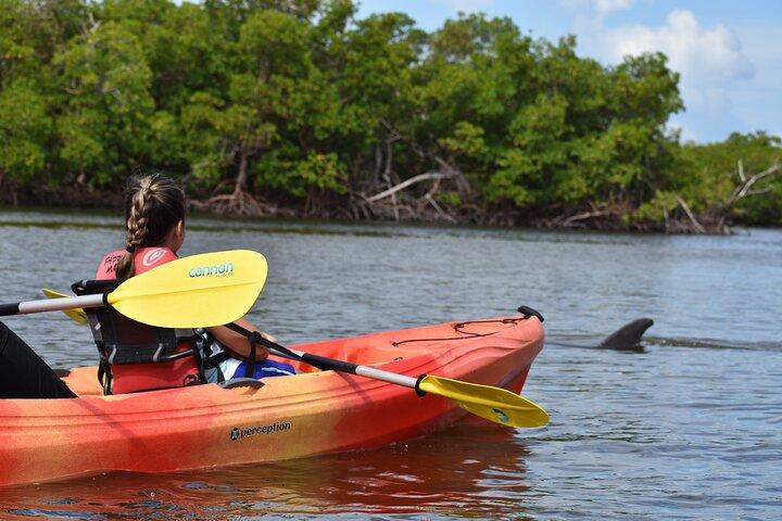 Mangrove Tunnels Kayak Tour (Photographer Included)- Marco Island