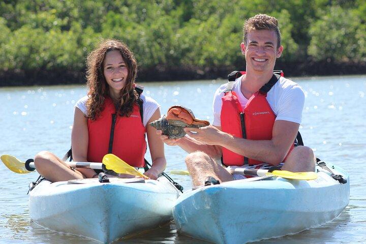 Mangrove Tunnels Kayak Tour (Photographer Included)- Marco Island
