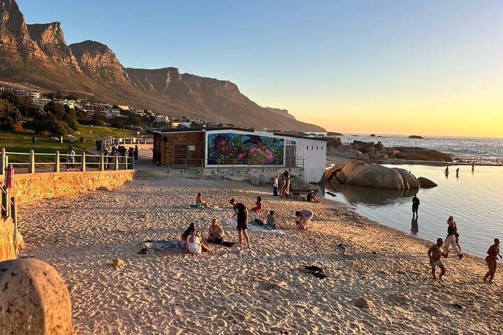 Full Day Private Tour in Cape Town