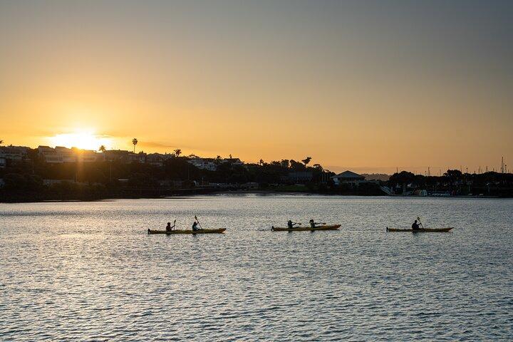 Auckland City Lights Night Kayaking Tour