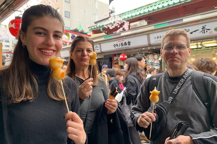 Tokyo 6hr Private Guided Tour and Geisha Performance & Dinner