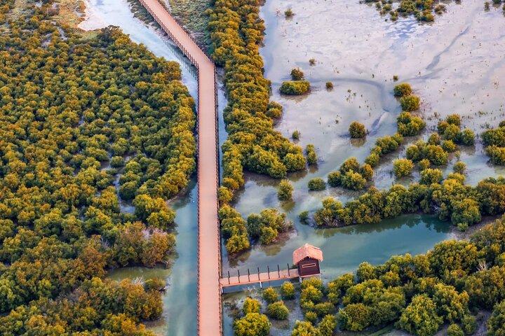 North of Qatar Tour, Zubara Fort, Mangroves, Jumail Village