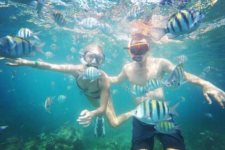 Snorkeling and Shopping in Montego Bay with Hotel pickup