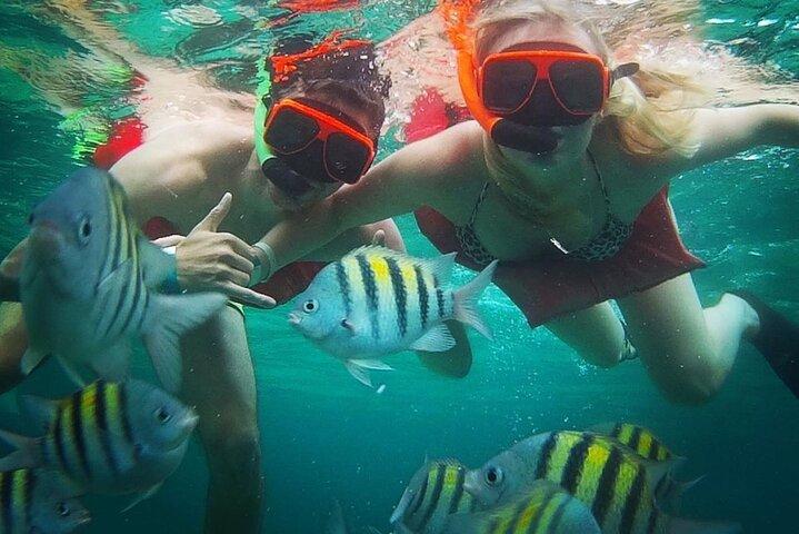Snorkeling and Shopping in Montego Bay with Hotel pickup