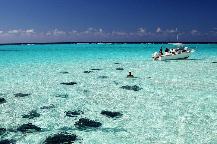 Cayman 3 in 1 Combo: Starfish Point, Stingrays and Reefs