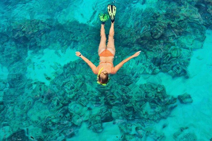 Cayman 3 in 1 Combo: Starfish Point, Stingrays and Reefs