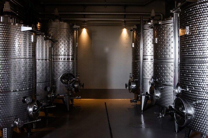 Winery tour and wine tasting in Maremma - Grosseto