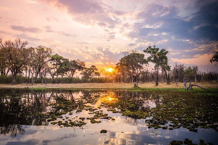 Overnight Mokoro Experience in the Okavango Delta