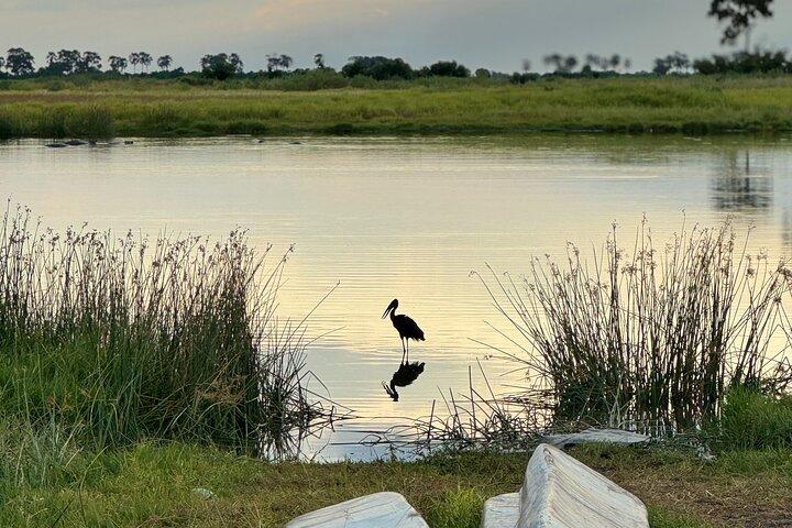 Overnight Mokoro Experience in the Okavango Delta