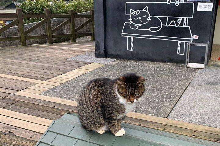 Jiufen, Shifen and Houtong Cat Village Private Tour