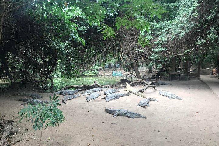 Gambia Banjul City Tour with Crocodile Pool, Arch 22 and More