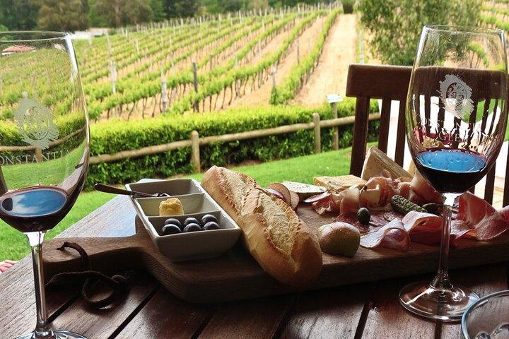 Table Mountain & Constantia wine tasting tour in Cape Town