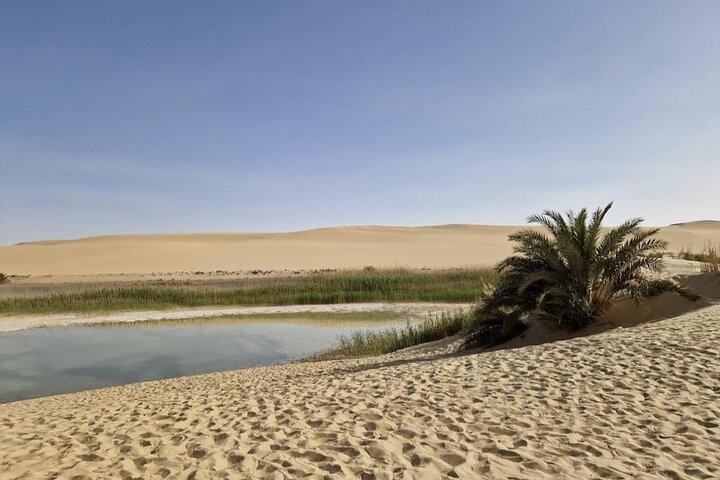 Siwa Oasis All Inclusive Tour From Cairo