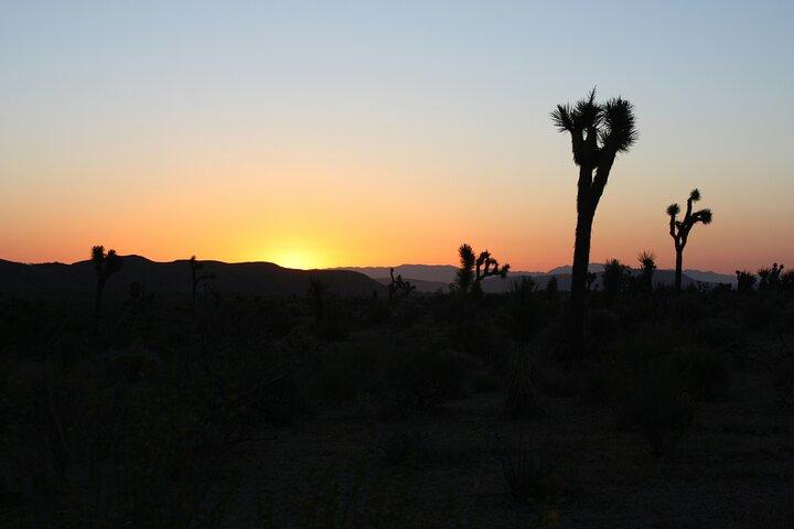 Death Valley Small Group Day Tour with Sunset and Stargazing