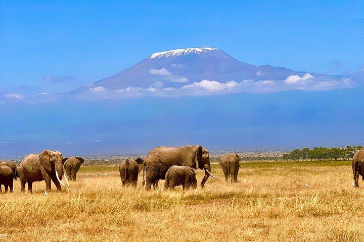 2 Days at Amboseli National park