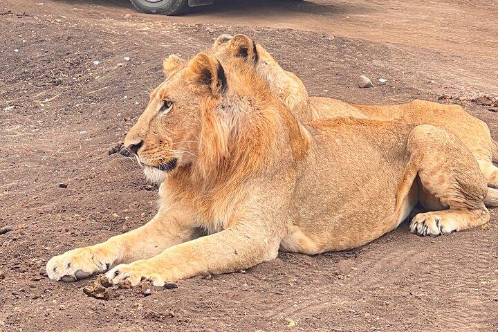2 Days at Amboseli National park