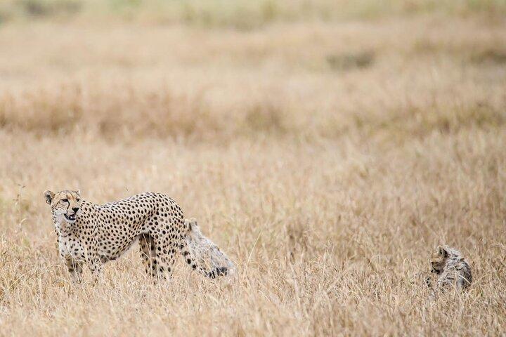 2 Days at Amboseli National park