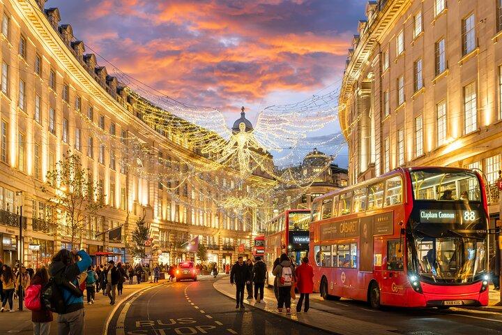 Private sightseeing chauffeured tour of London