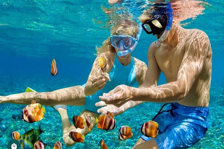 Snorkeling and Shopping in Montego Bay with Hotel pickup