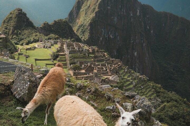 Private Machu Picchu Guided Tour from Aguas Calientes