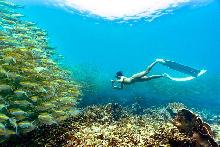 Koh Tao’s Top Snorkeling Spots by Vintage Wooden Boat
