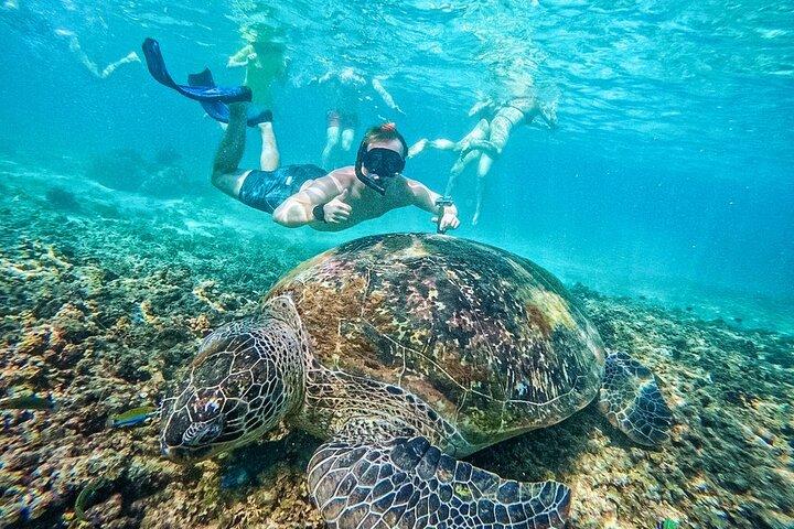 Koh Tao’s Top Snorkeling Spots by Vintage Wooden Boat