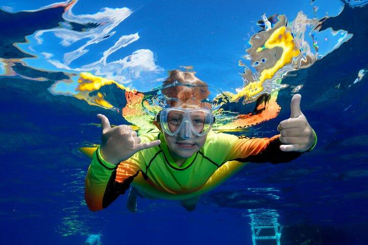 Maui: Molokini and Turtles Luxury Yacht Snorkel