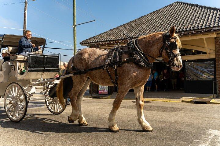 Private Daytime Horse-Drawn Carriage Tour of Charleston