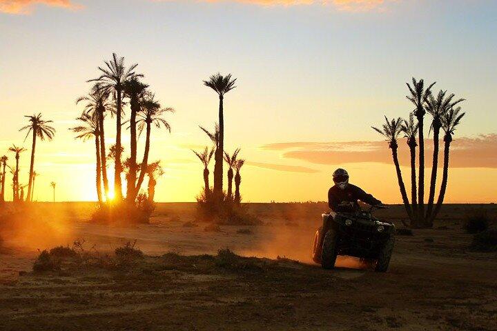 Quad Bike and Camel Ride in Marrakech Palmeraie