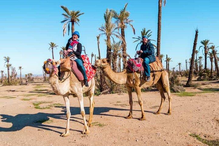 Quad Bike and Camel Ride in Marrakech Palmeraie