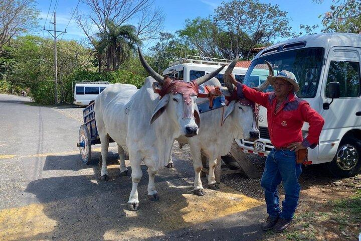 Private tour in the Rincon de la Vieja National Park