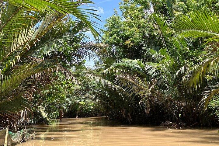 Upper Mekong Delta Day Group Tour from Ho Chi Minh City