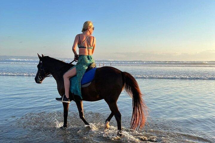 Seminyak Bali Horse Back Riding private experiance