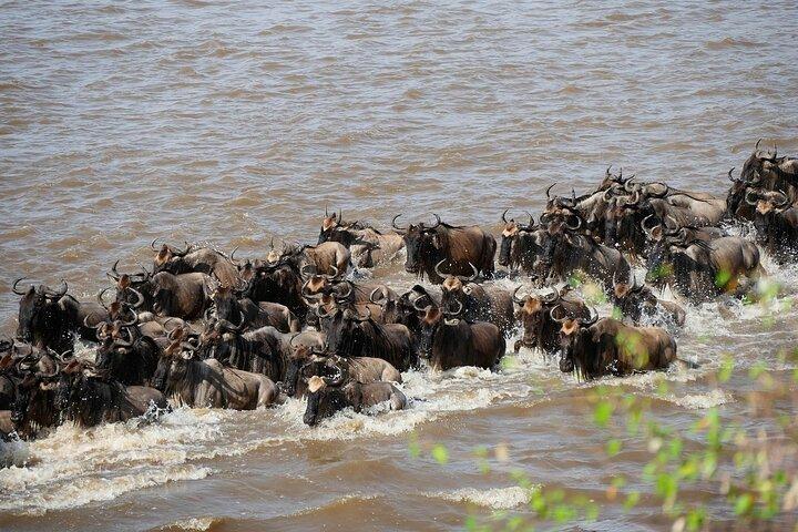 4-Day Group Tour Explore Tarangire, Serengeti and Ngorongoro